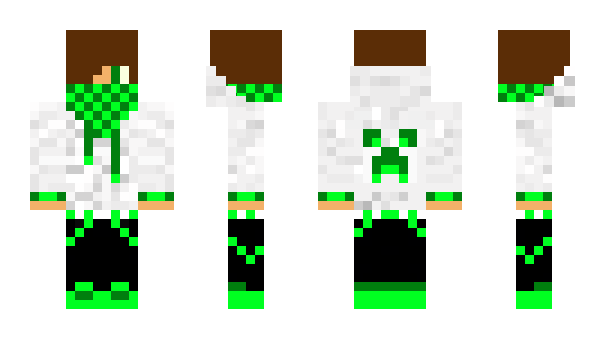 Minecraft skin rikunen