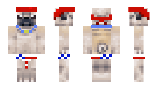 Minecraft skin ChilesEnNogadaTV