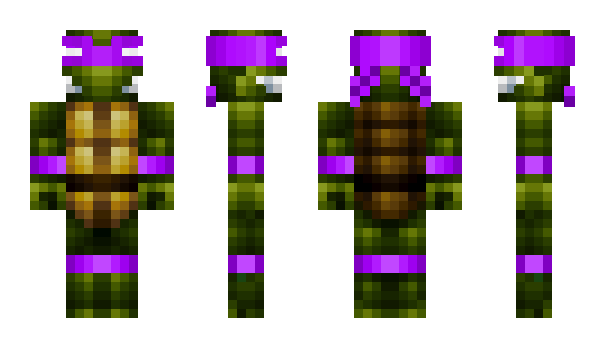 Minecraft skin Xninjaturtle