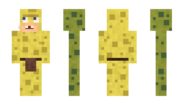 Minecraft skin SB71