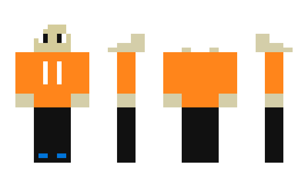 Minecraft skin Nikpayzer