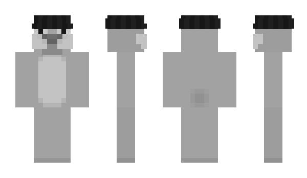 Minecraft skin w_r