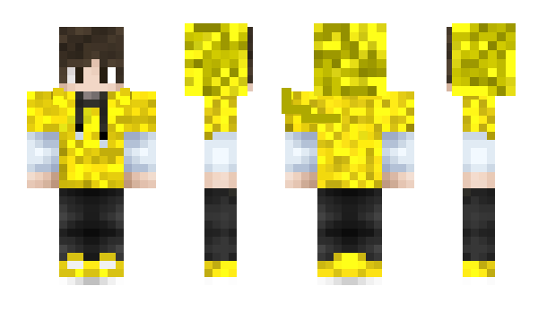 Minecraft skin MCDragonSlayer