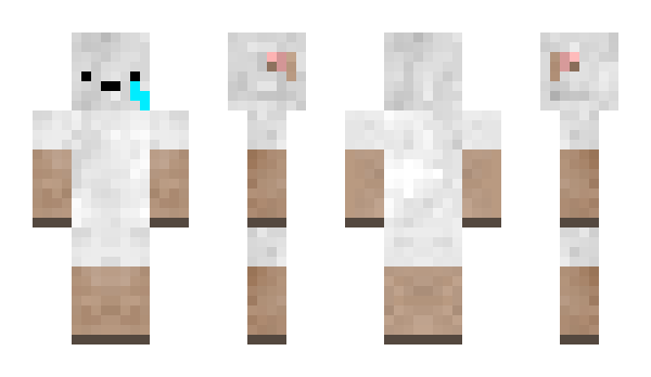 Minecraft skin Previously