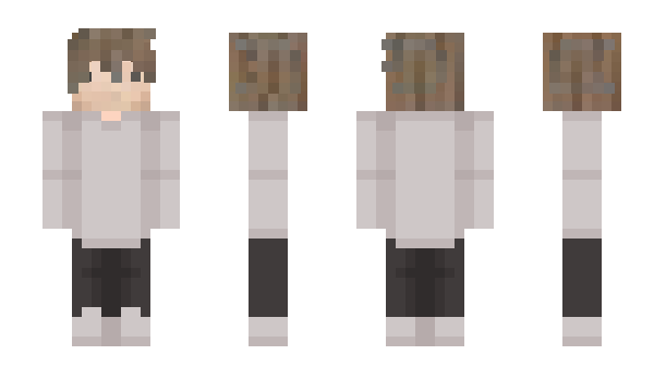 Minecraft skin Toventox