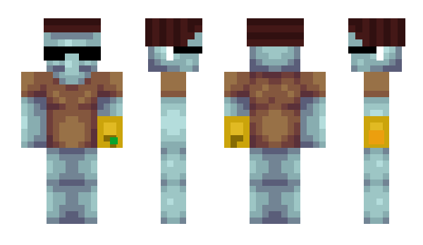 Minecraft skin Circularized