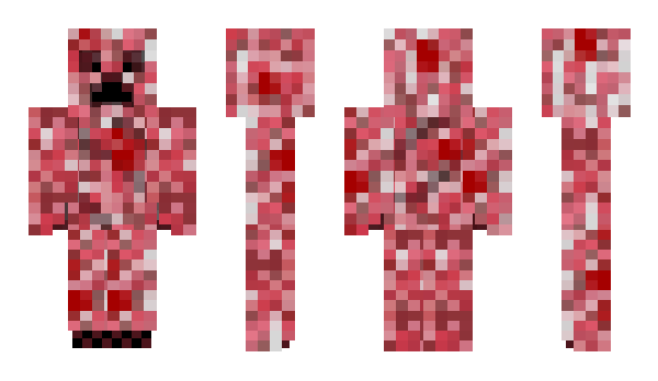 Minecraft skin Zarkket