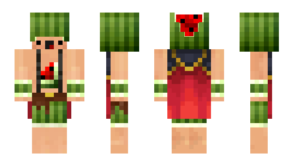 Minecraft skin muurii