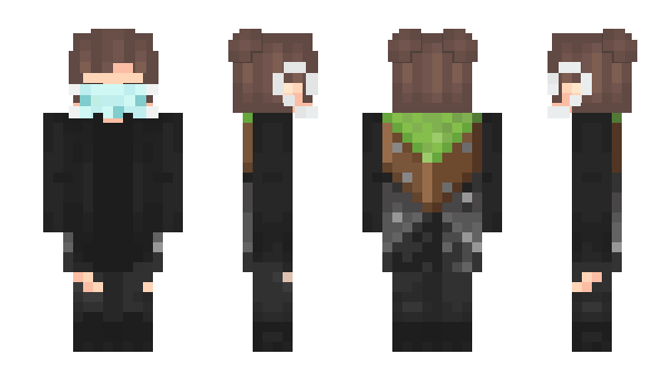 Minecraft skin Robbedz