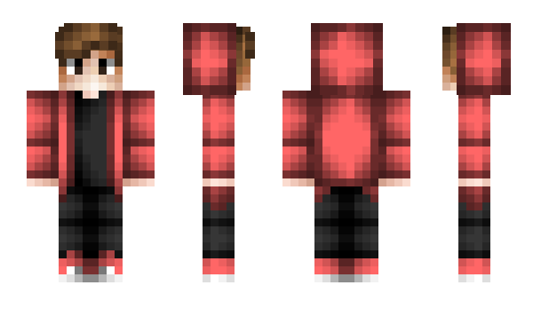 Minecraft skin ProjectMoney