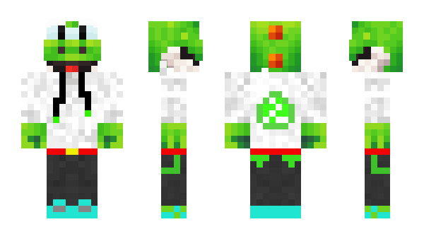 Minecraft skin WynncraftTAS