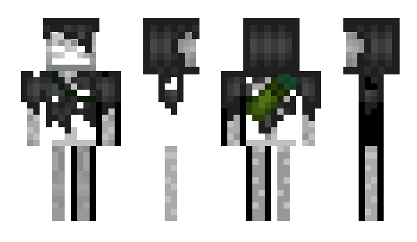 Minecraft skin Skeleton_