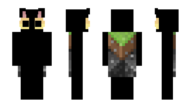 Minecraft скин по нику dvx100