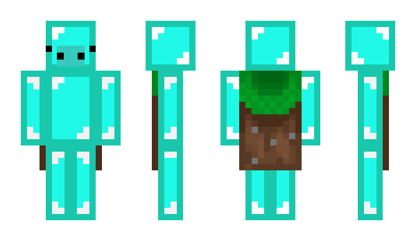 Minecraft skin DaquaviusMC