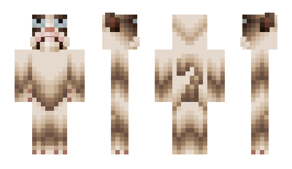 Minecraft skin Koupa