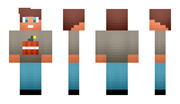 Minecraft skin Stier100