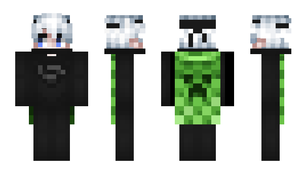 Minecraft skin twmi