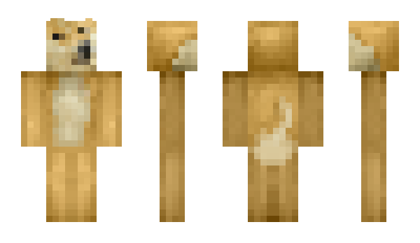 Minecraft skin raddit