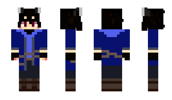 Minecraft skin Parisu