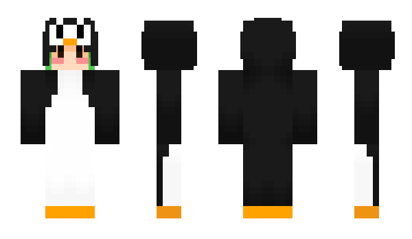 Minecraft skin Poric