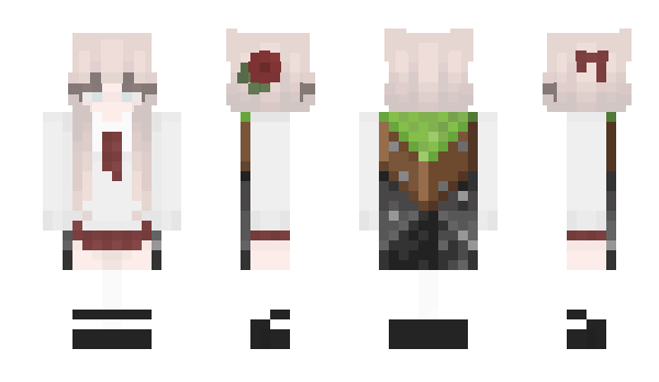 Minecraft skin Protocooperation