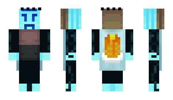 Minecraft skin zyllable