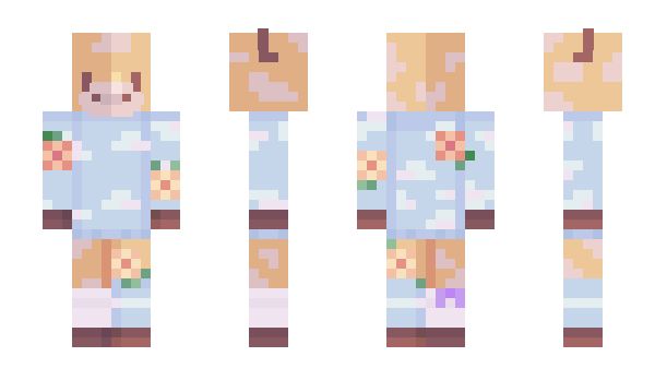 Minecraft skin RainFall0