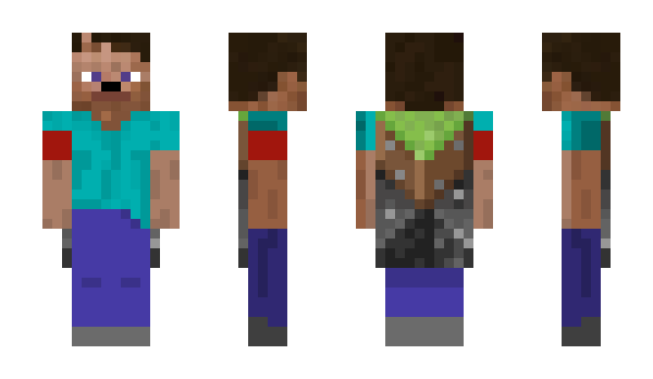 Minecraft skin HaeilHtlr