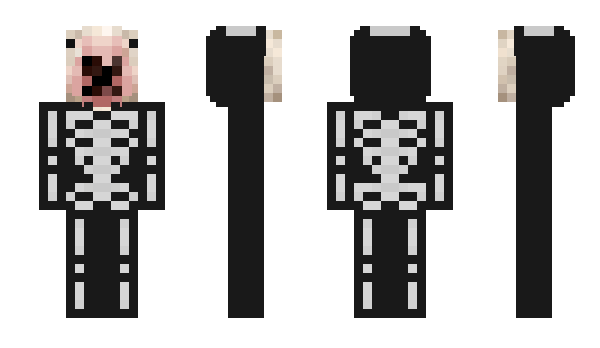 Minecraft skin XleB228