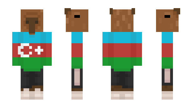 Minecraft skin Capybaralover267