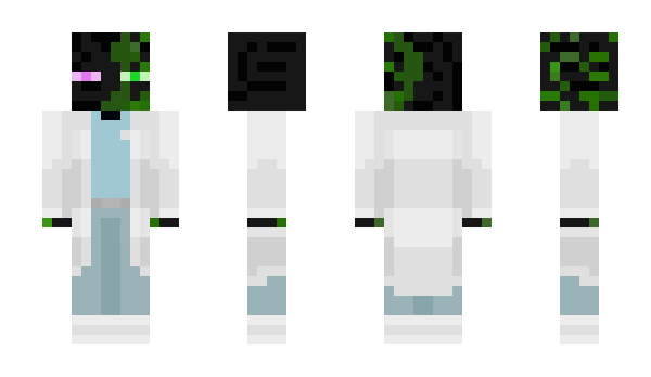 Minecraft skin mnvi