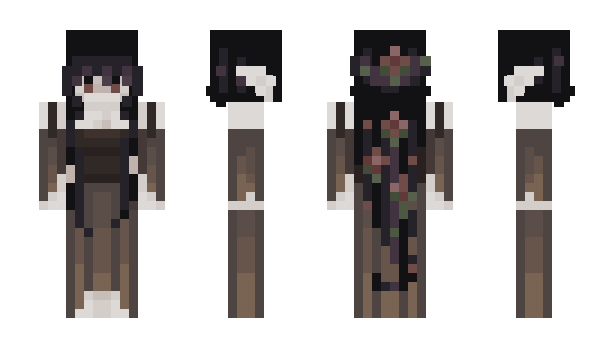 Minecraft skin Eviiri