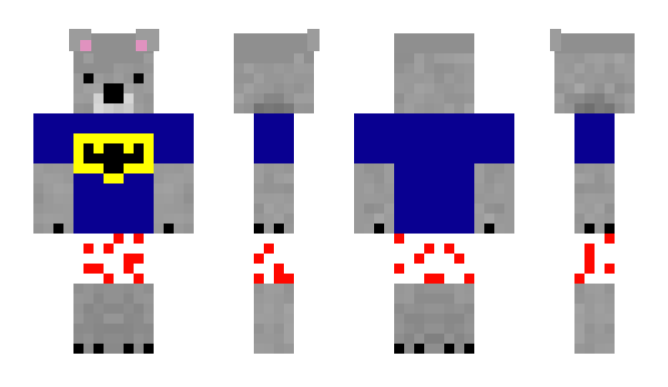 Minecraft skin KoalaCraftin