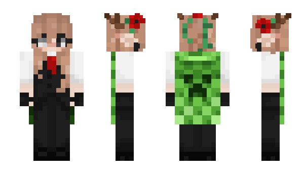 Minecraft skin BeeLoqR