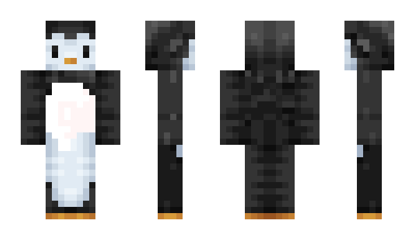 Minecraft skin riley