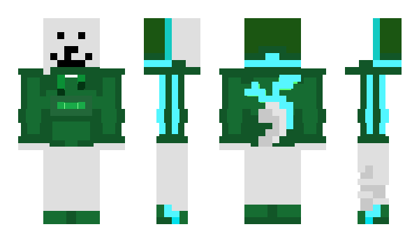Minecraft skin Zigb
