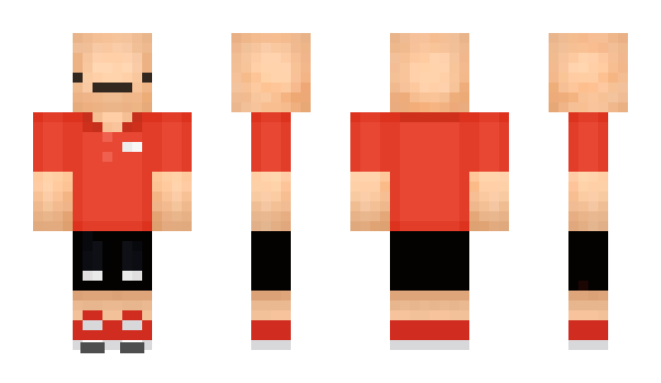 Minecraft skin partygeezer