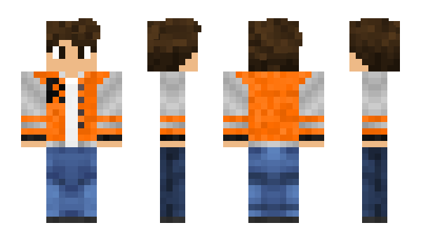 Minecraft skin xXRobin