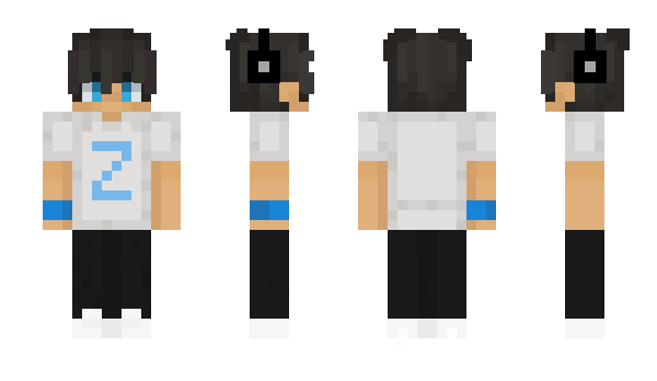 Minecraft skin Zizn