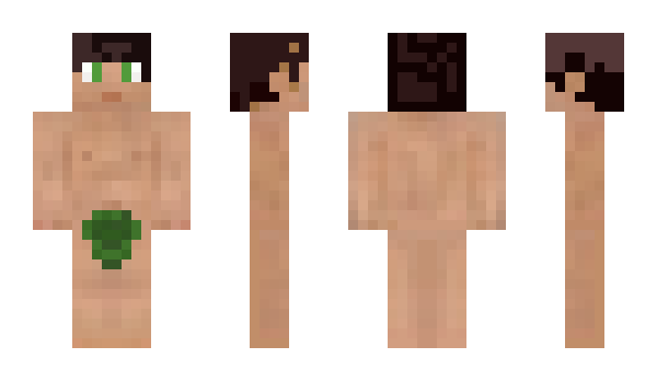 Minecraft skin JunixDK