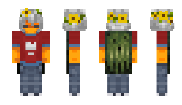 Minecraft скін по ніку riverol