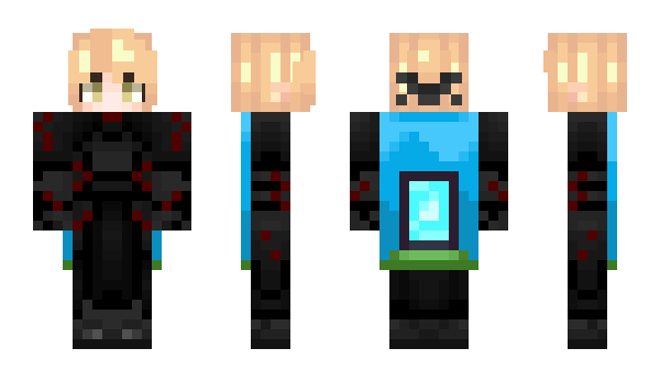 Minecraft skin 2wa1
