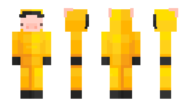 Minecraft skin r4r3_