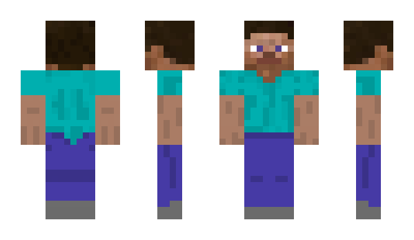 Minecraft skin IceBoox