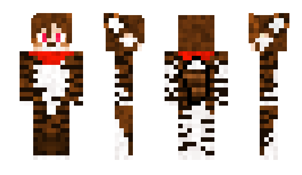 Minecraft skin 9112