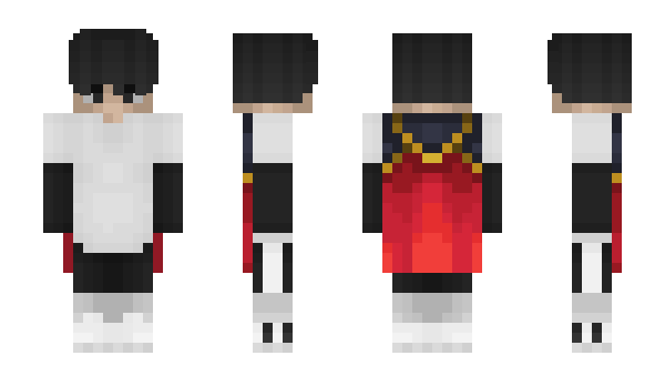 Minecraft skin DNVP