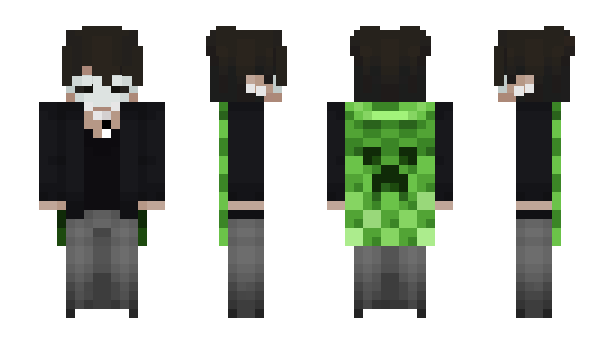 Minecraft skin Vcie