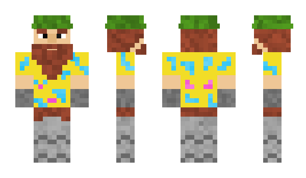 Minecraft skin HOPA100