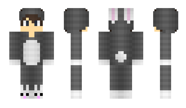 Minecraft skin Enty_303