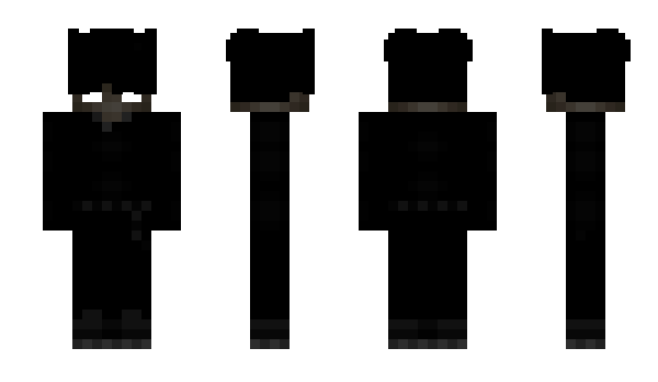 Minecraft skin cniss